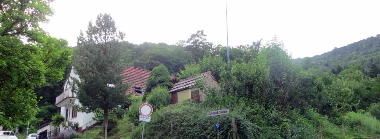 Ferienwohnung/Monteurwohnung Meiser Lambrecht  Kültér fotó