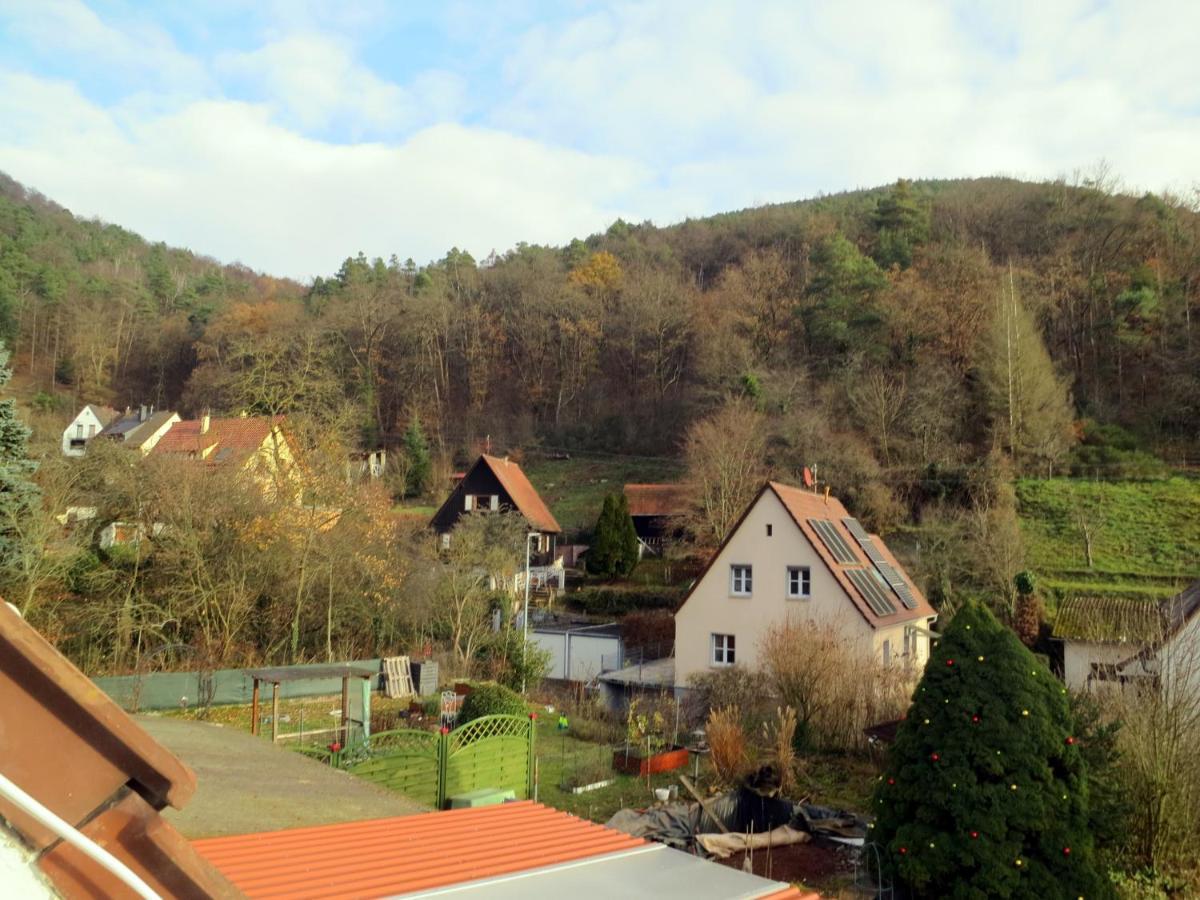 Ferienwohnung/Monteurwohnung Meiser Lambrecht  Kültér fotó